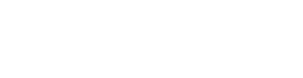 DIH eSavo-logo valkoinen