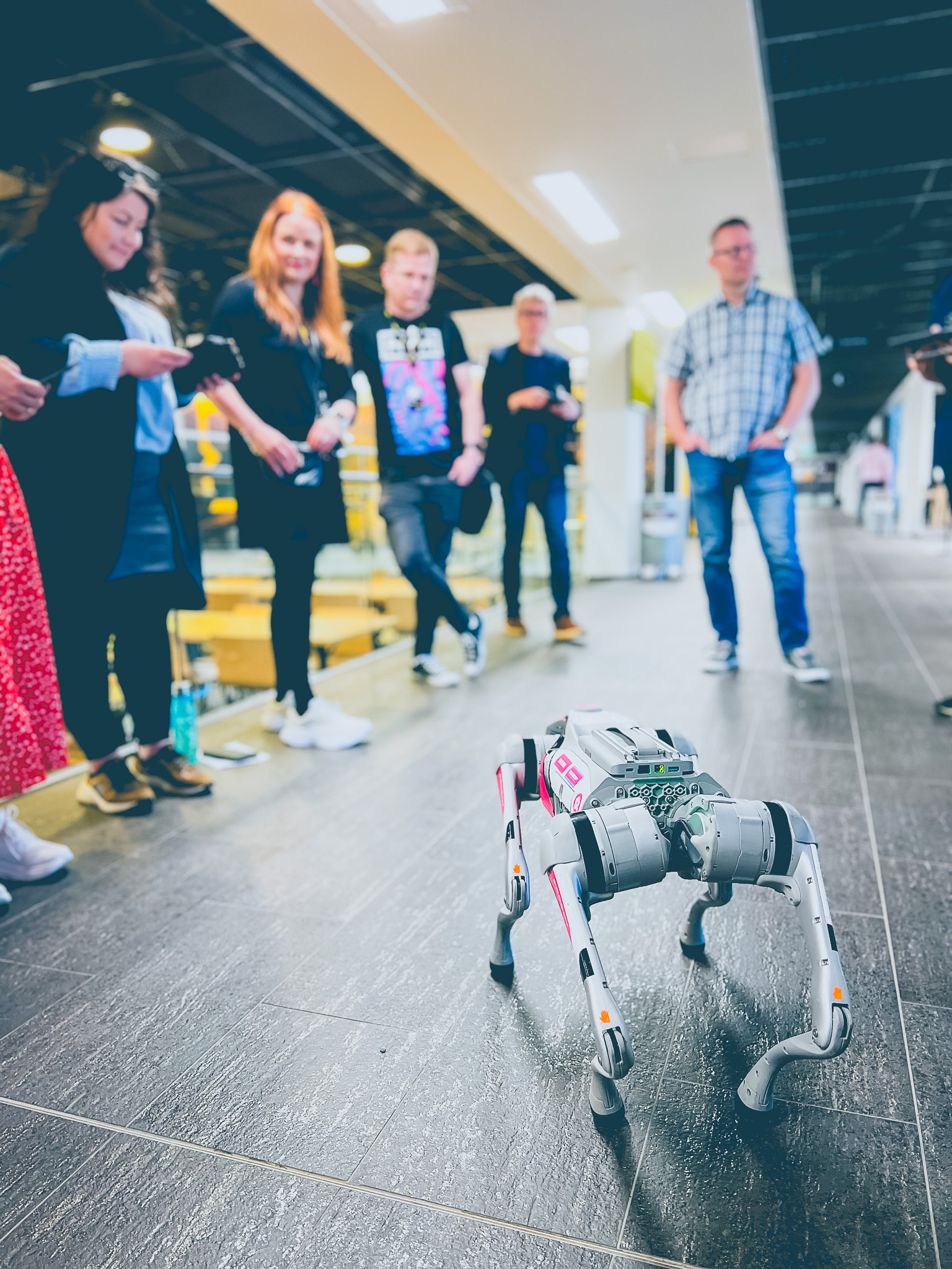 Ihmisisä ihailemassa robottikoiraa Xamkin käytävällä.